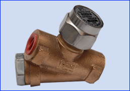 STEAM STRAP-TD3